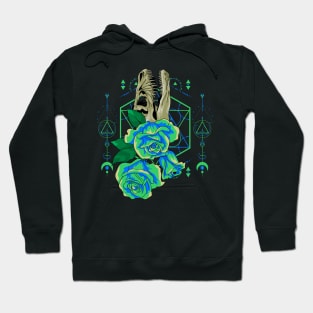 dinosaur lover gift Hoodie